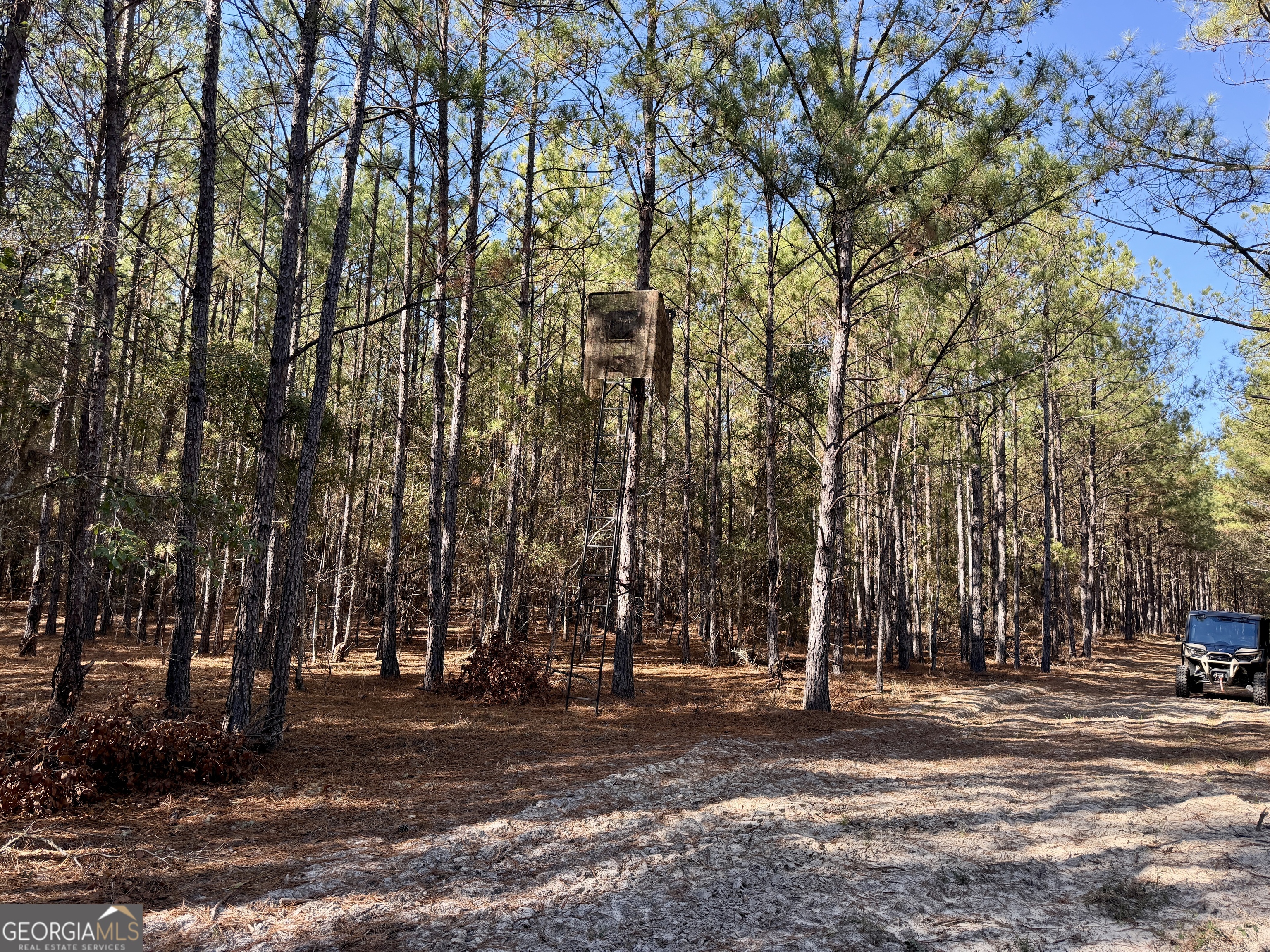 571 Sanders Cemetery Road Chauncey, GA 31011 - Photo 82 of 107 a view of road with trees