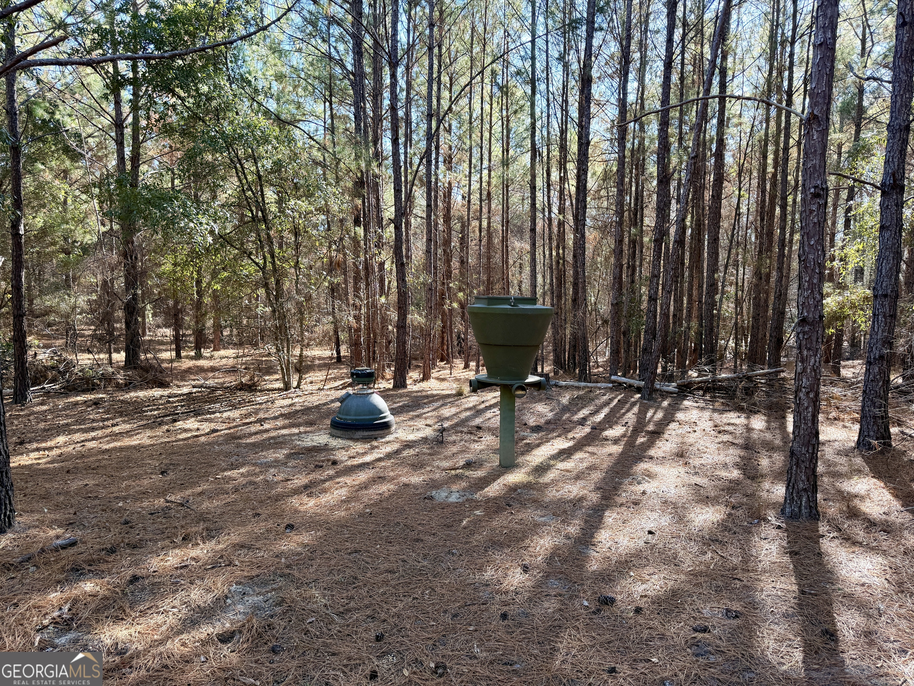 571 Sanders Cemetery Road Chauncey, GA 31011 - Photo 83 of 107