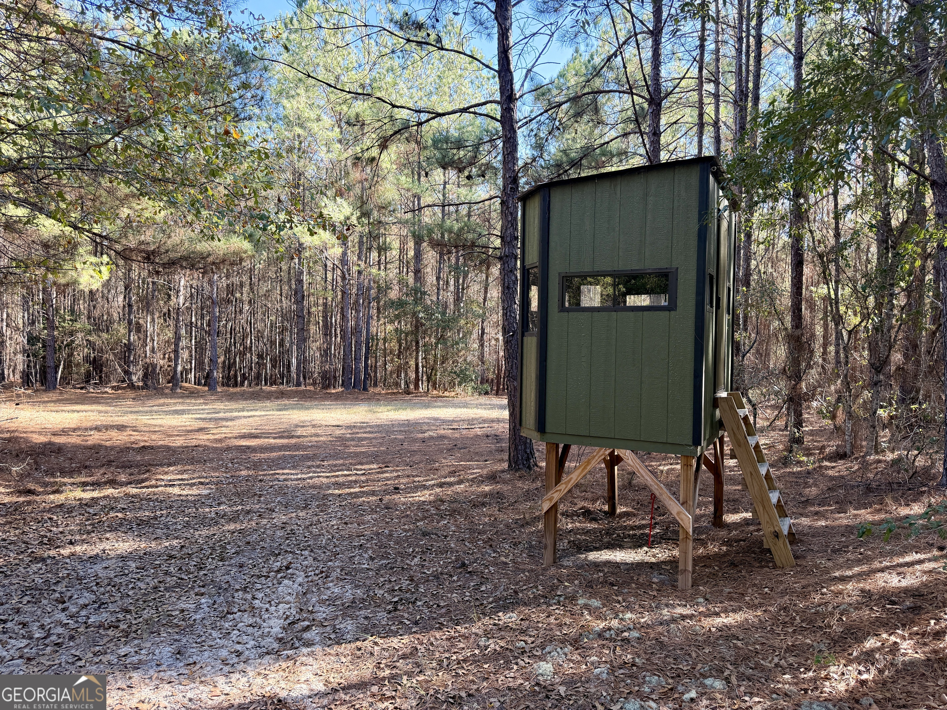 571 Sanders Cemetery Road Chauncey, GA 31011 - Photo 84 of 107 a view of backyard with a garden and trees