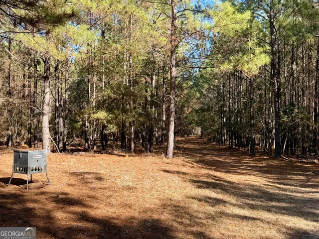 $550,000 | 571 Sanders Cemetery Road, Chauncey, GA 31011