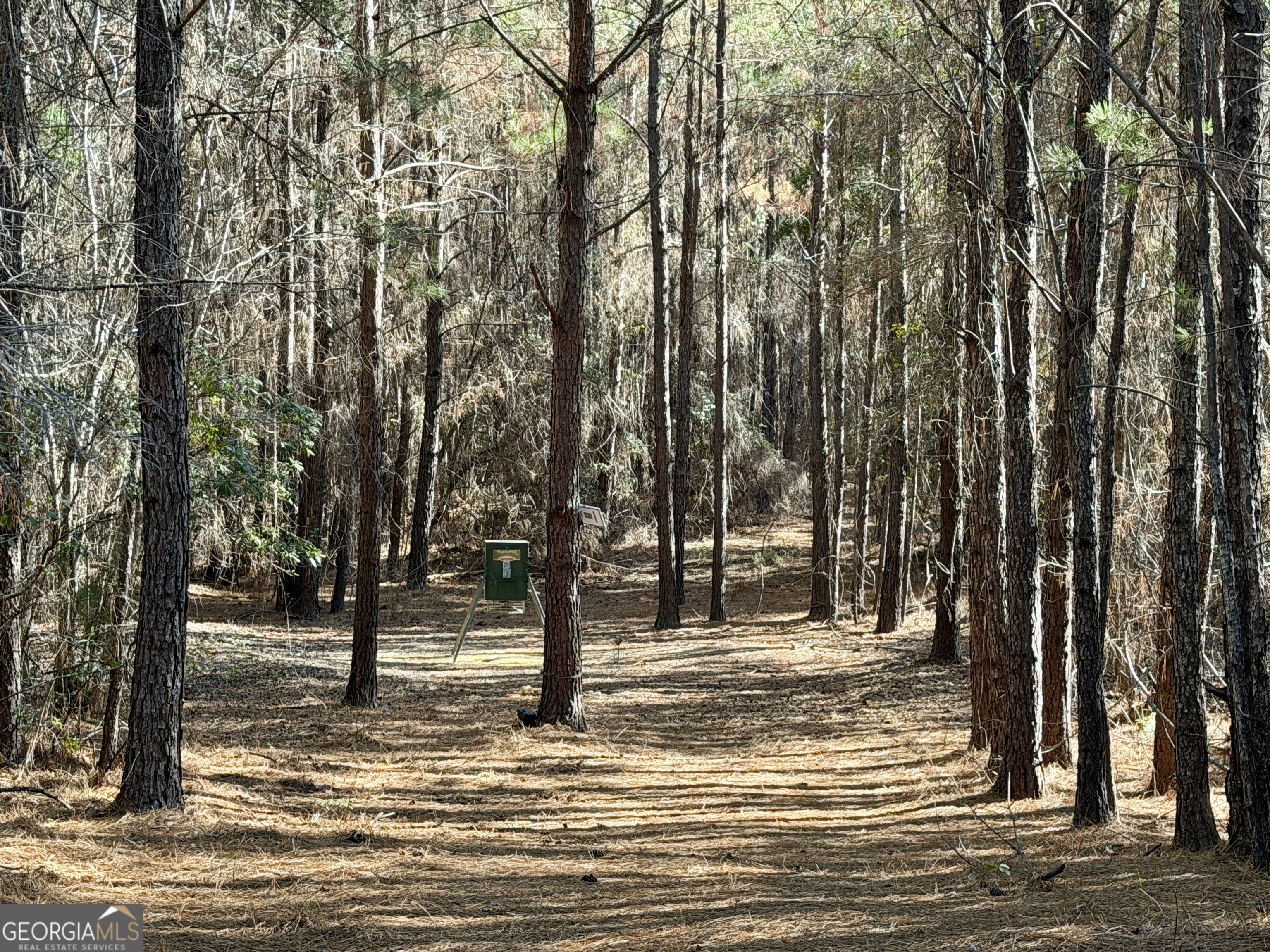 571 Sanders Cemetery Road Chauncey, GA 31011 - Photo 87 of 107