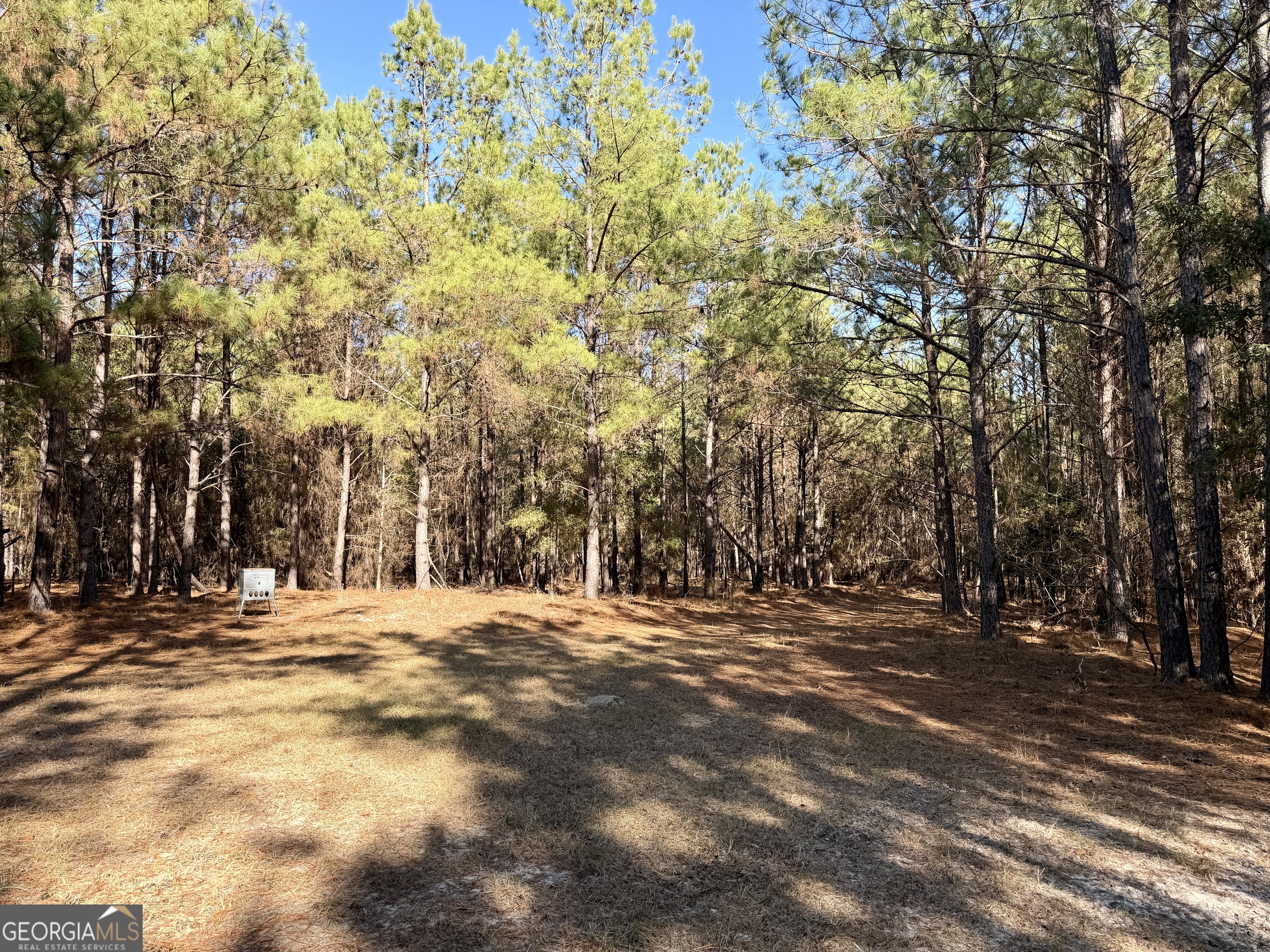 571 Sanders Cemetery Road Chauncey, GA 31011 - Photo 88 of 107 a view of road with large trees