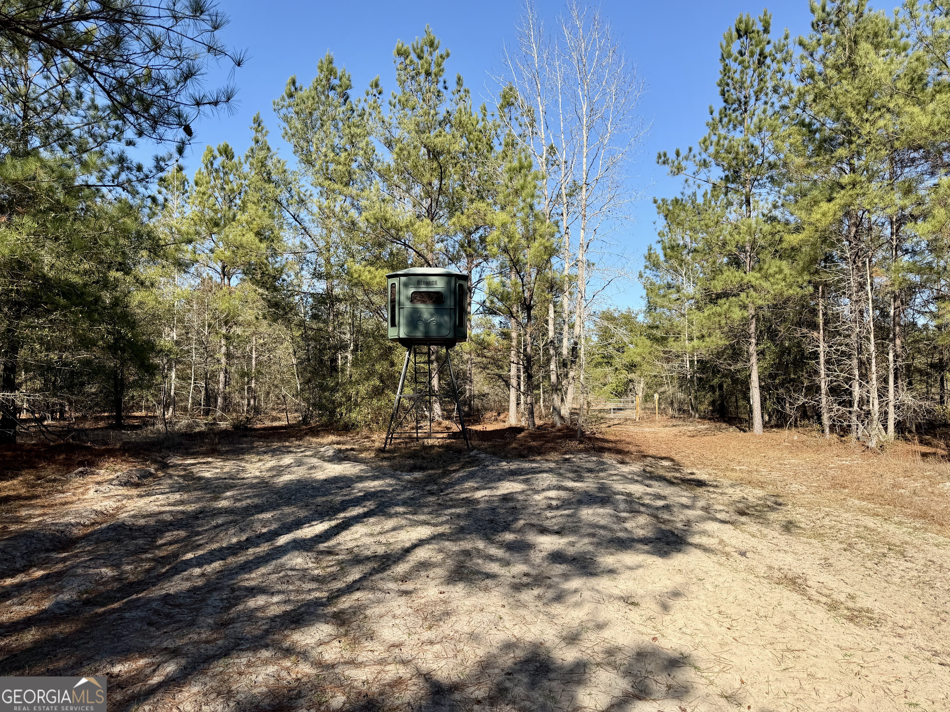 571 Sanders Cemetery Road Chauncey, GA 31011 - Photo 89 of 107