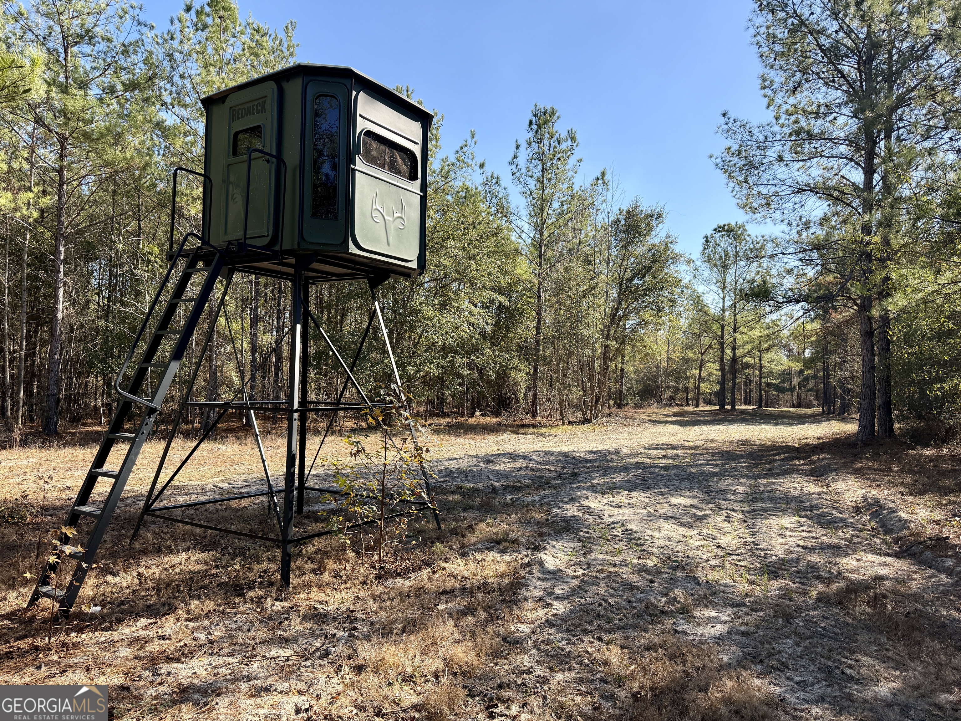 571 Sanders Cemetery Road Chauncey, GA 31011 - Photo 90 of 107 a front view of a house with a yard