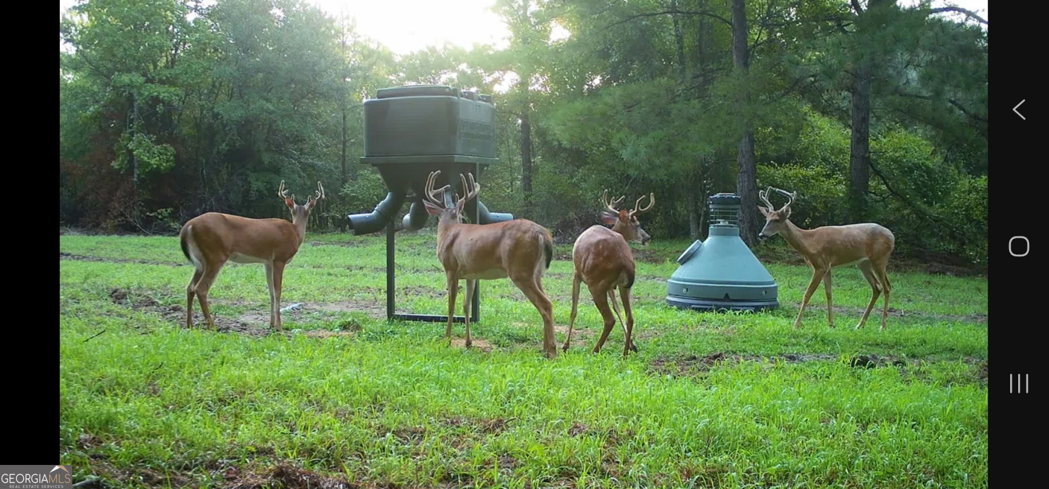 571 Sanders Cemetery Road Chauncey, GA 31011 - Photo 9 of 107