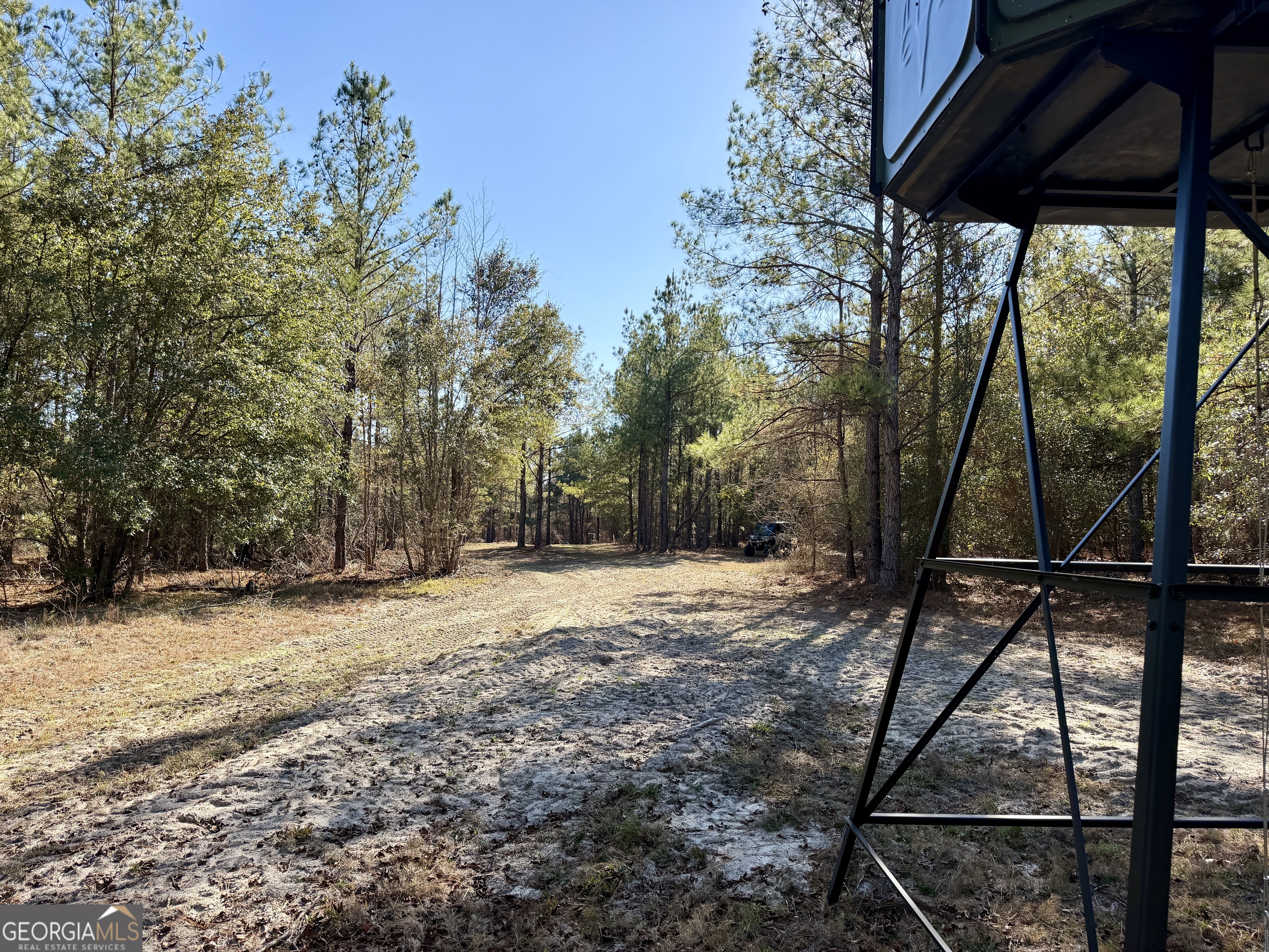 571 Sanders Cemetery Road Chauncey, GA 31011 - Photo 91 of 107