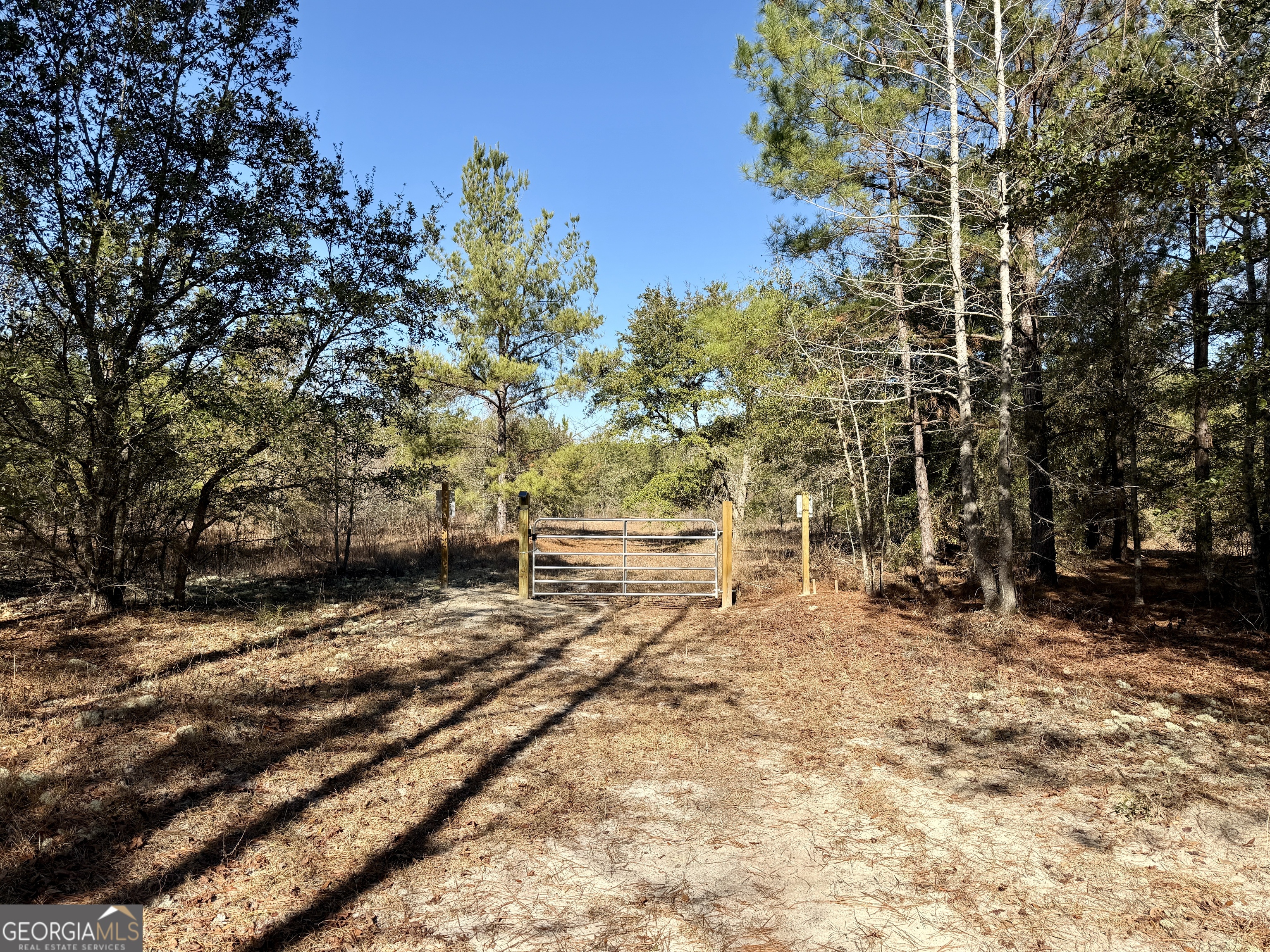 571 Sanders Cemetery Road Chauncey, GA 31011 - Photo 93 of 107 a view of a yard with trees