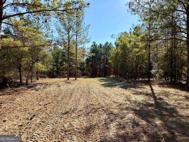 $550,000 | 571 Sanders Cemetery Road, Chauncey, GA 31011