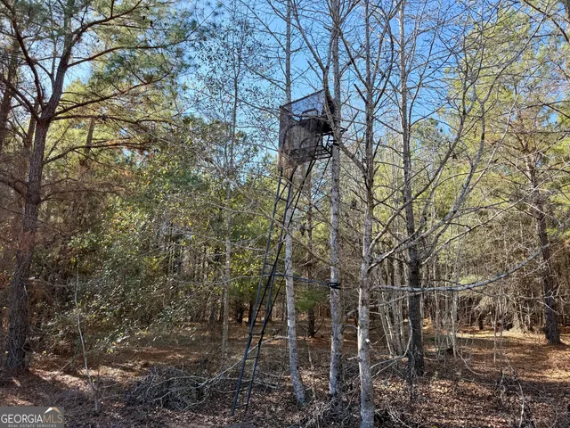 $550,000 | 571 Sanders Cemetery Road, Chauncey, GA 31011