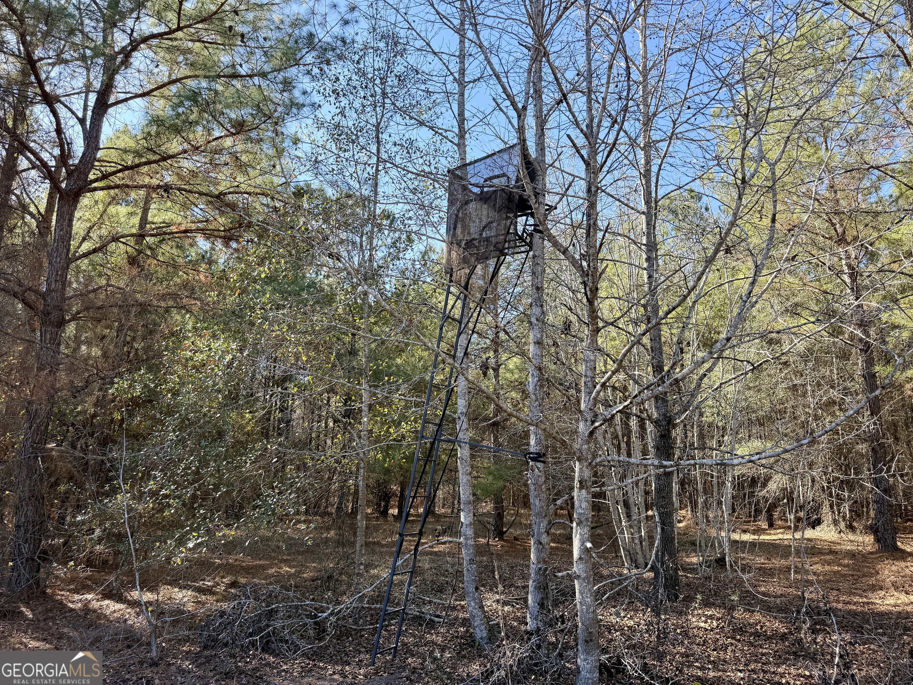 571 Sanders Cemetery Road Chauncey, GA 31011 - Photo 97 of 107 a backyard of a house with lots of green space