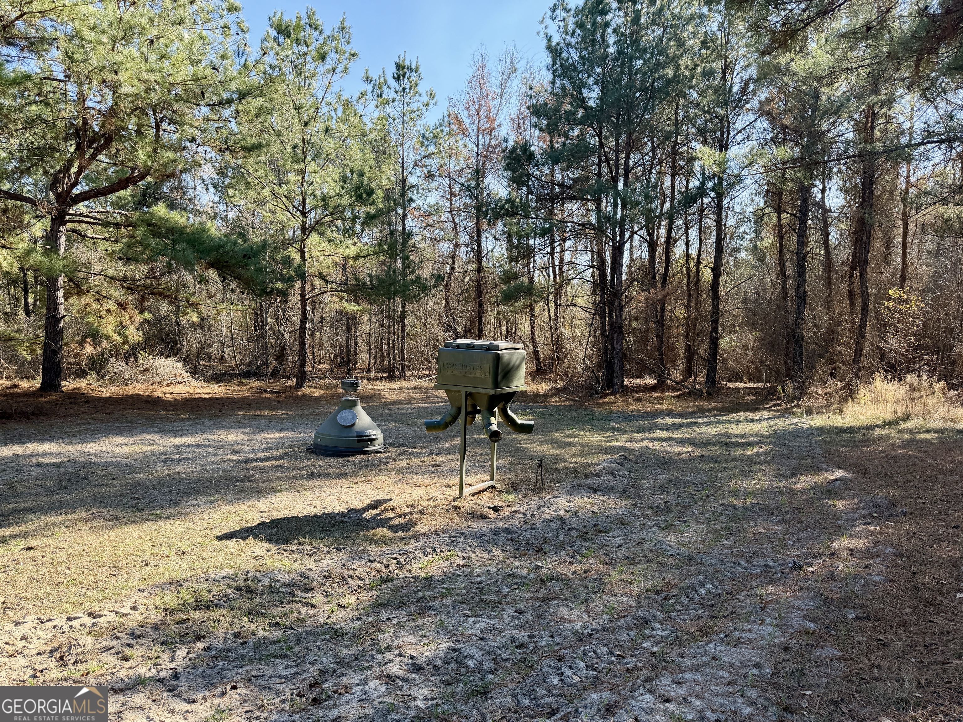 571 Sanders Cemetery Road Chauncey, GA 31011 - Photo 98 of 107 a view of a park with large trees