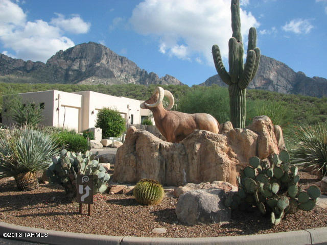 1847 East Buck Ridge Place Tucson, AZ 85737 - Photo 2 of 20