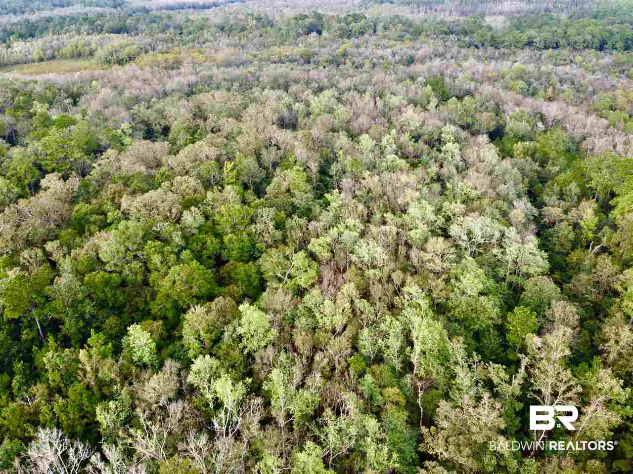 0 Maureen Circle Daphne, AL 36527 - Photo 7 of 26