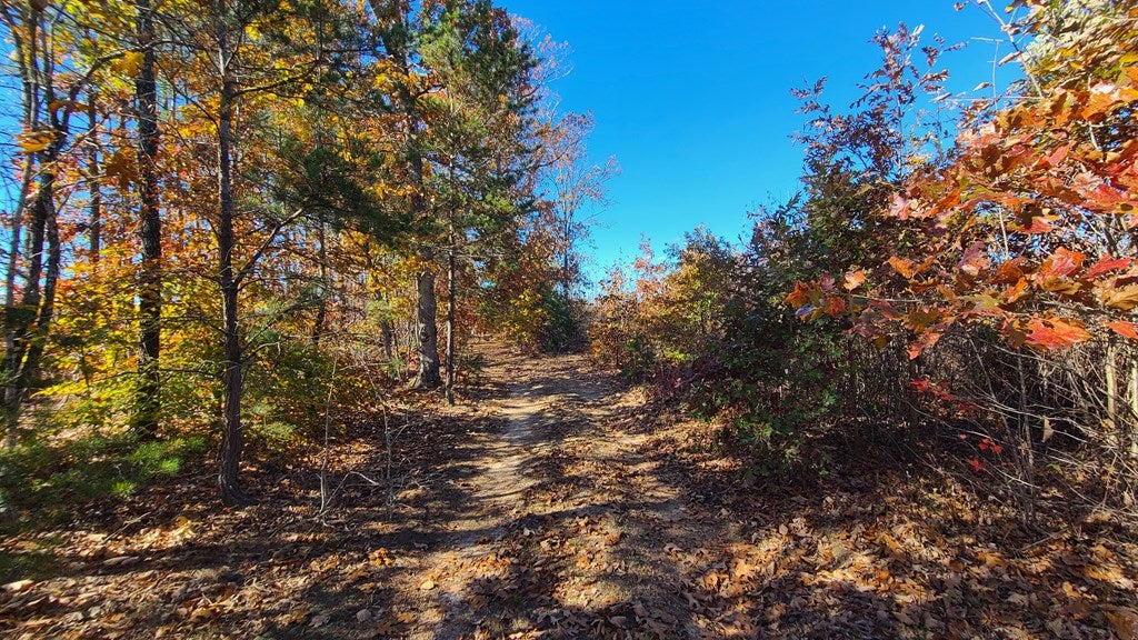 640 Andersonville Road Appomattox, VA 24522 - Photo 26 of 33 Gallery Image 26