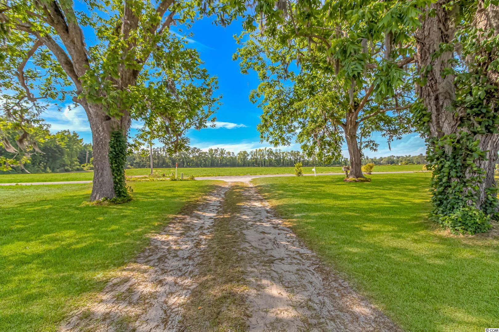 1004 Bartells Road Hemingway, SC 29554 - Photo 21 of 24