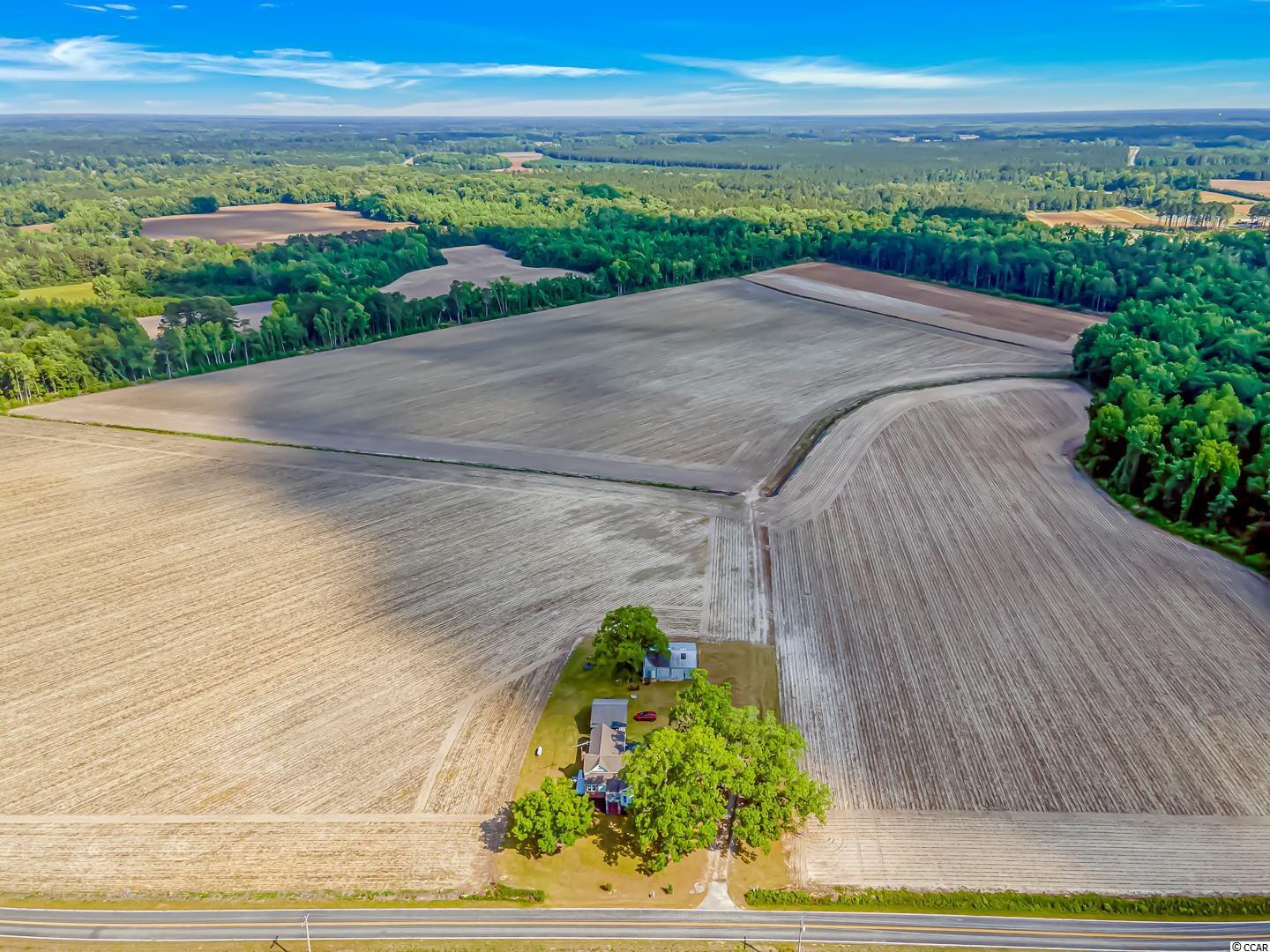 1004 Bartells Road Hemingway, SC 29554 - Photo 23 of 24