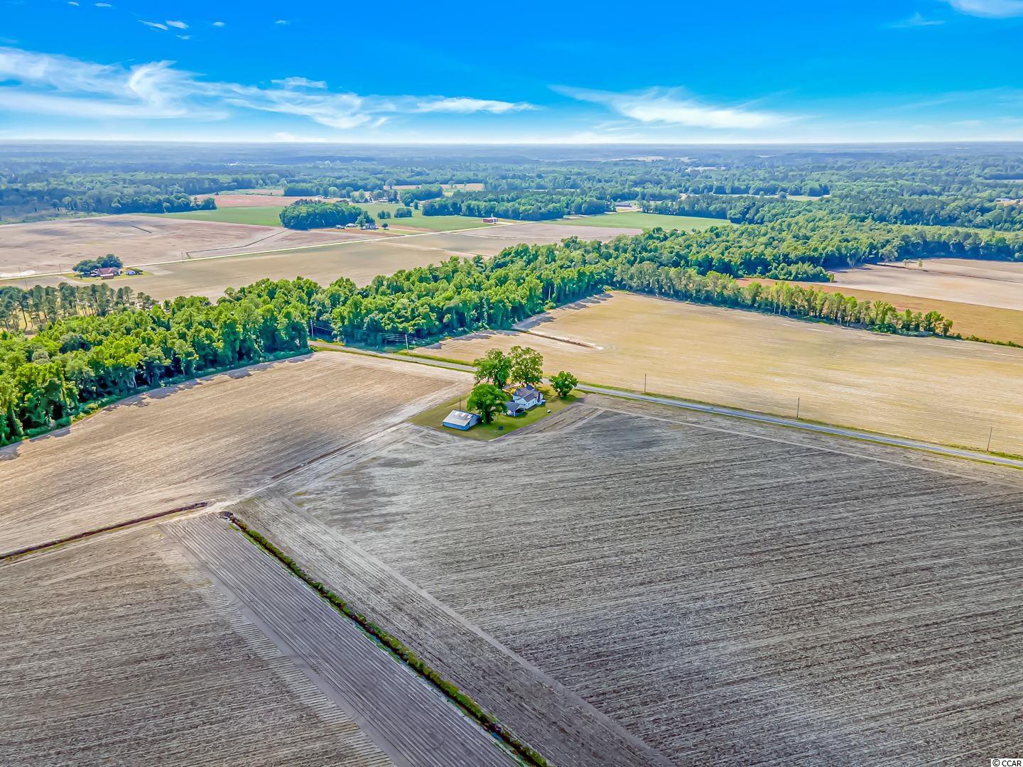 1004 Bartells Road Hemingway, SC 29554 - Photo 24 of 24