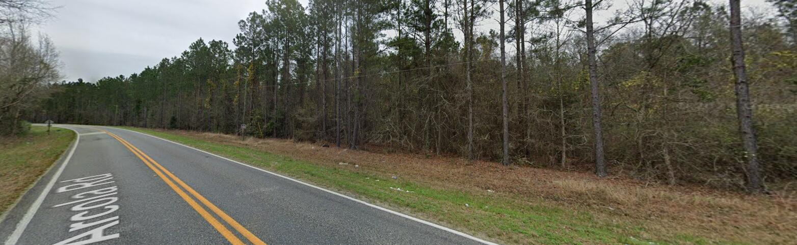 0 Arcola Road Pembroke, GA 31321 - Photo 4 of 10 street view