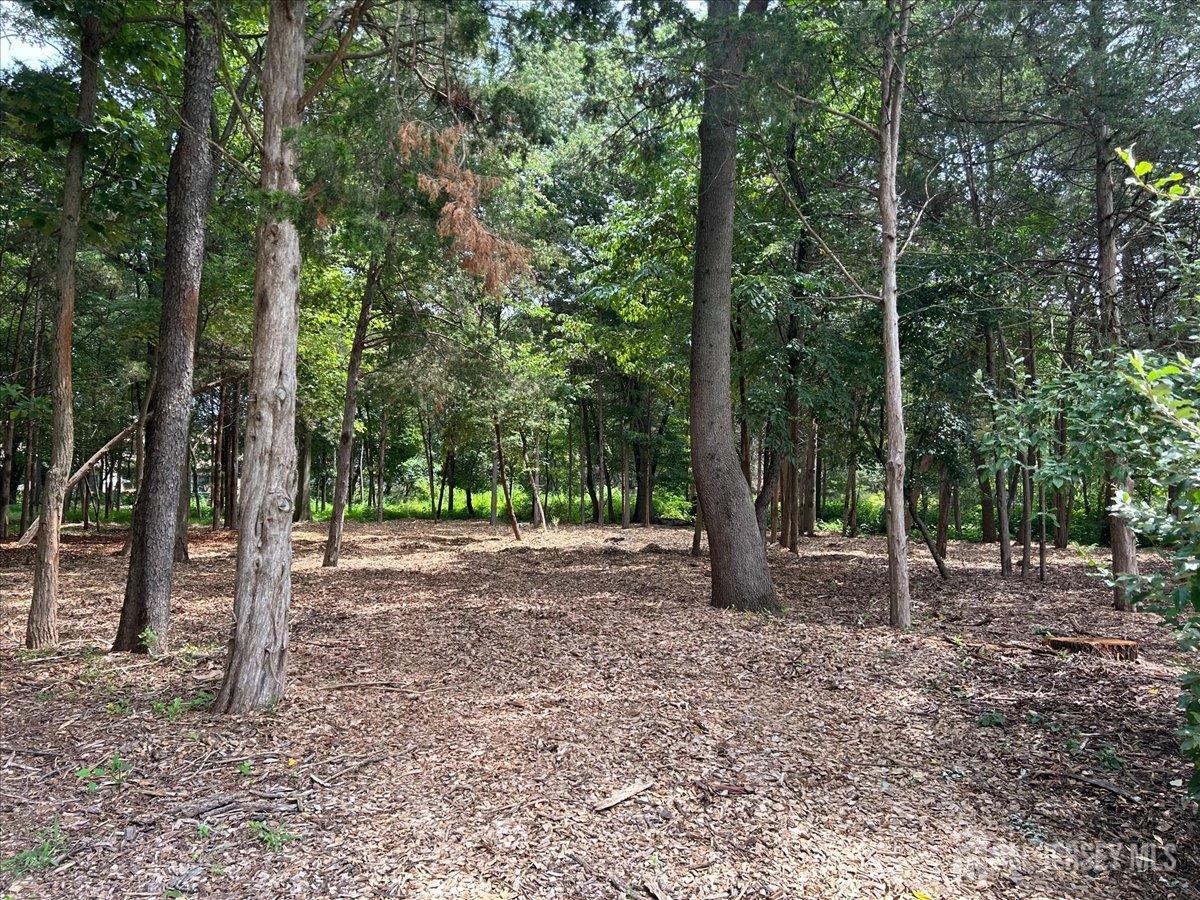 33 Ellison Road Somerset, NJ 08873 - Photo 22 of 38 a view of a forest with trees