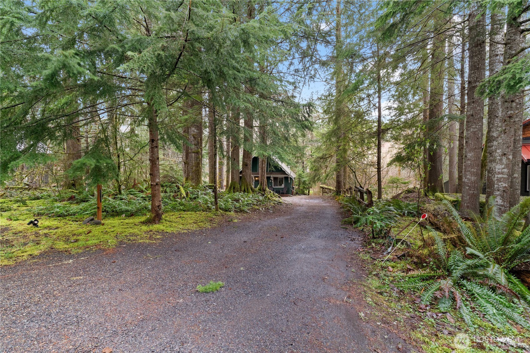 159 Paradise Drive Ashford, WA 98304 - Photo 38 of 38