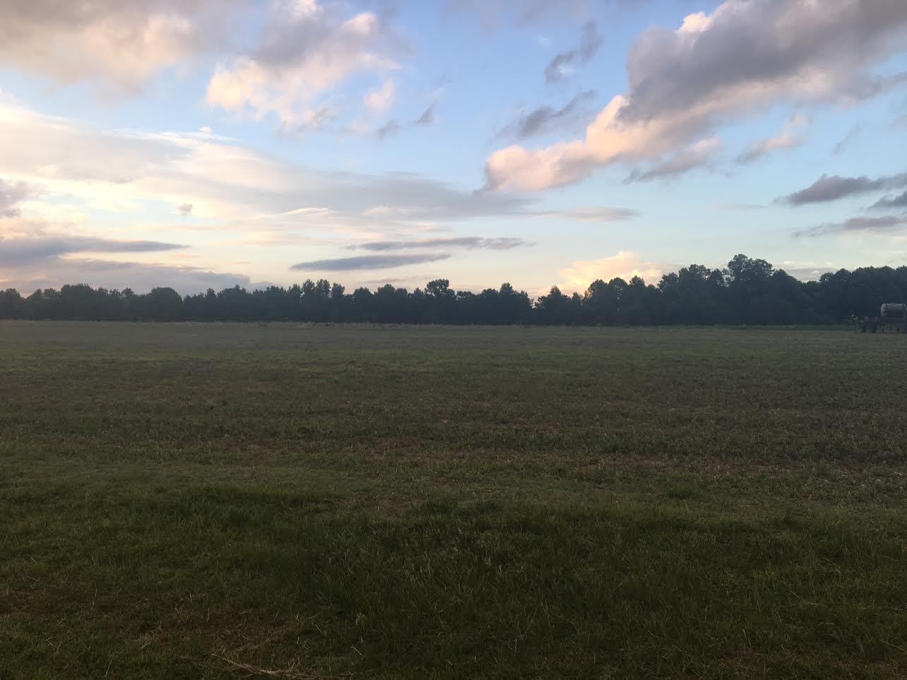 737 Union Church Road Carthage, NC 28327 - Photo 1 of 1 737 Union Church Road
