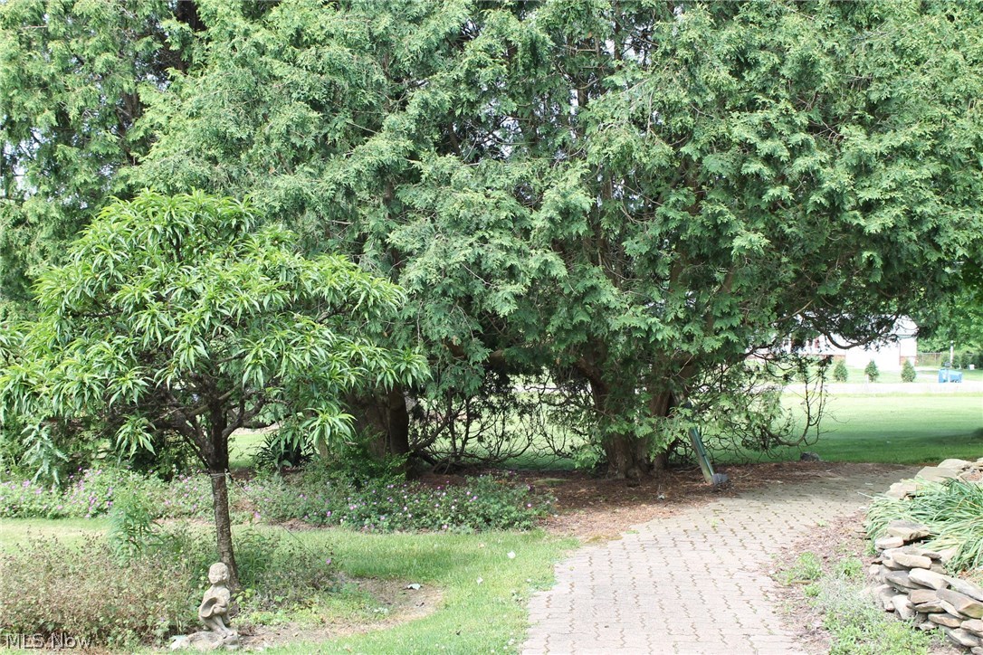 1727 Brookfield Road Hubbard, OH 44425 - Photo 6 of 35 Gallery Image 6