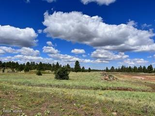 Tbd Tbd Porter Mountain Road Pinetop, AZ 85935 - Photo 11 of 13
