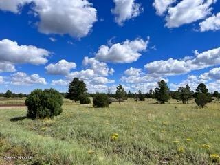 Tbd Tbd Porter Mountain Road Pinetop, AZ 85935 - Photo 2 of 13