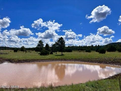 Tbd Tbd Porter Mountain Road Pinetop, AZ 85935 - Photo 3 of 13