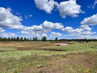 Tbd Tbd Porter Mountain Road Pinetop, AZ 85935 - Photo 4 of 13
