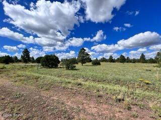 Tbd Tbd Porter Mountain Road Pinetop, AZ 85935 - Photo 5 of 13