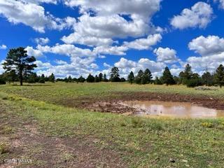 Tbd Tbd Porter Mountain Road Pinetop, AZ 85935 - Photo 6 of 13