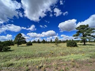 Tbd Tbd Porter Mountain Road Pinetop, AZ 85935 - Photo 7 of 13
