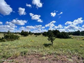 Tbd Tbd Porter Mountain Road Pinetop, AZ 85935 - Photo 8 of 13