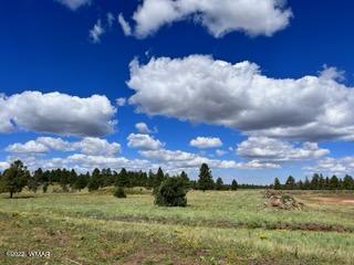 Tbd Tbd Porter Mountain Road Pinetop, AZ 85935 - Photo 9 of 13
