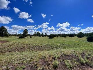 Tbd Tbd Porter Mountain Road Pinetop, AZ 85935 - Photo 10 of 13
