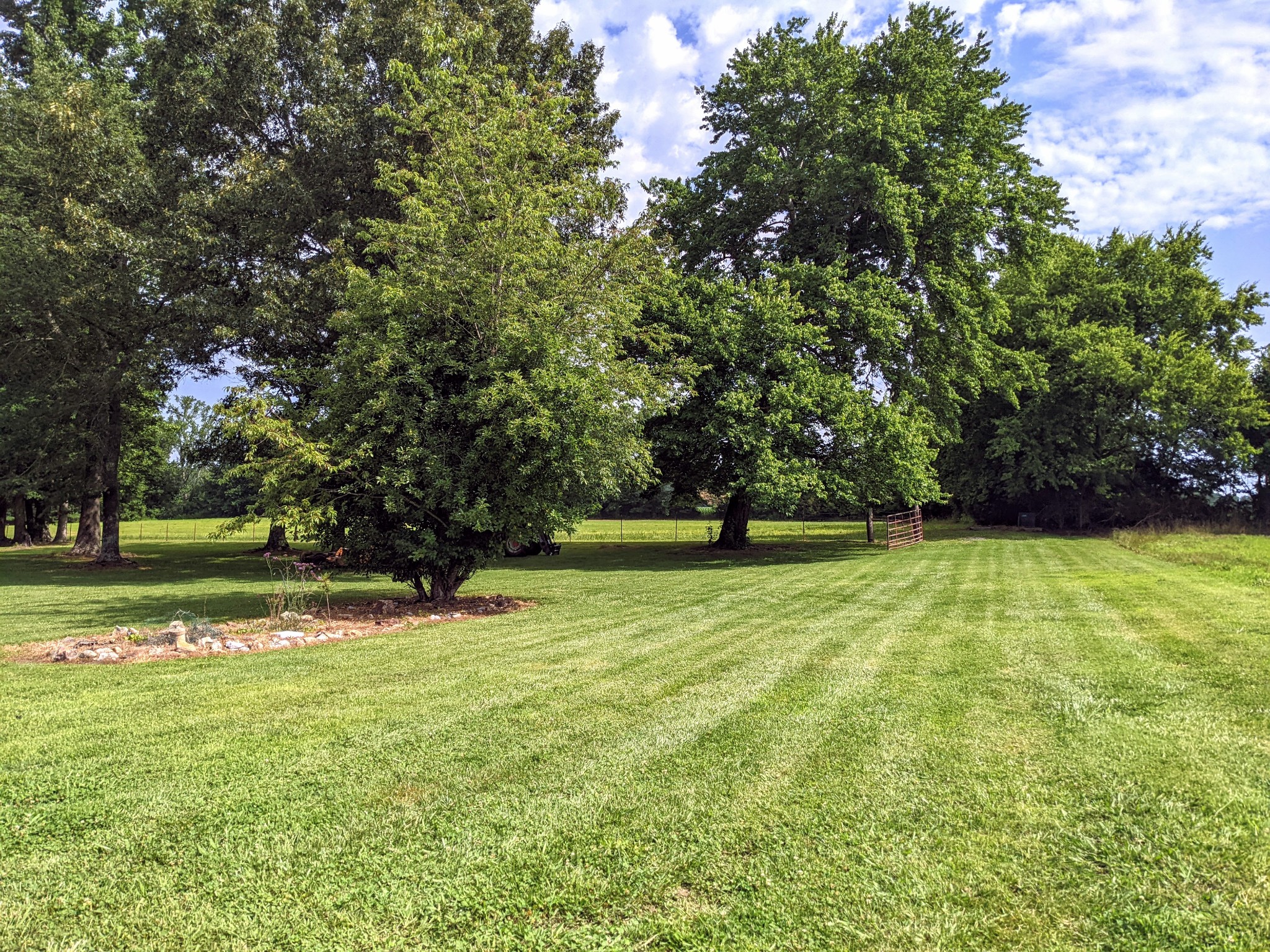 1843 Sainville Road Manchester, TN 37355 - Photo 11 of 32 a view of outdoor space with deck and trees