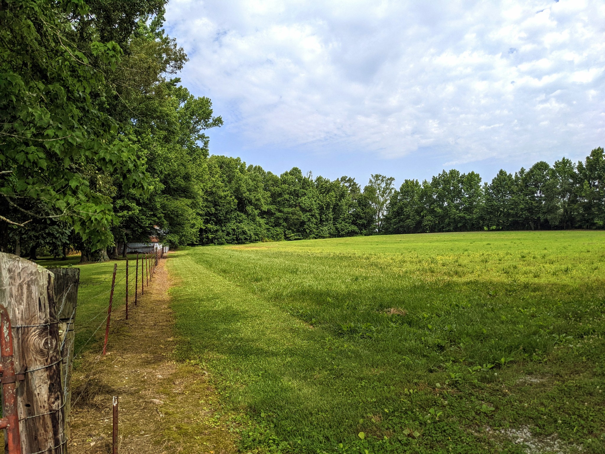 1843 Sainville Road Manchester, TN 37355 - Photo 12 of 32 a view of a lake with a yard
