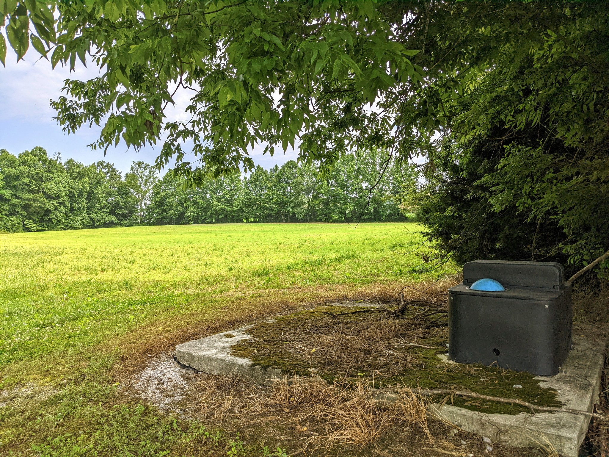 1843 Sainville Road Manchester, TN 37355 - Photo 13 of 32 a view of a yard with an outdoor space
