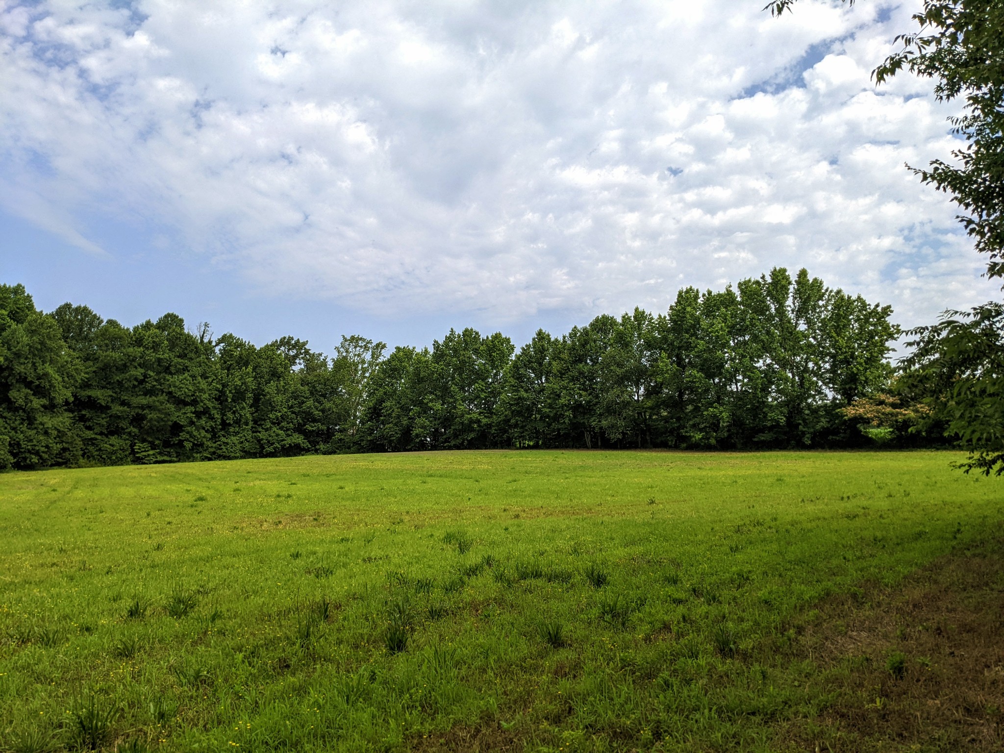 1843 Sainville Road Manchester, TN 37355 - Photo 14 of 32 a view of outdoor space and yard