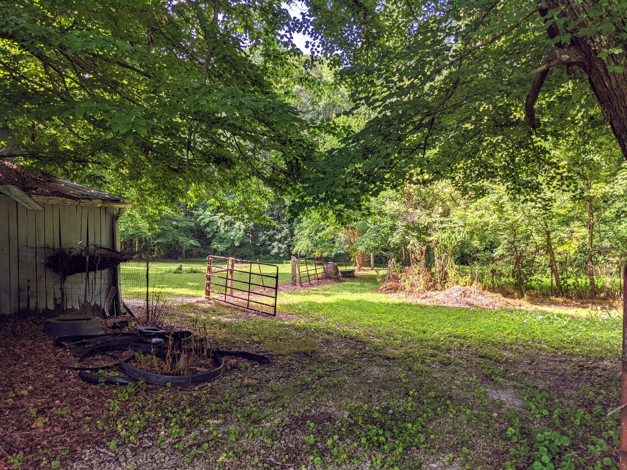1843 Sainville Road Manchester, TN 37355 - Photo 17 of 32 a view of a backyard with large trees