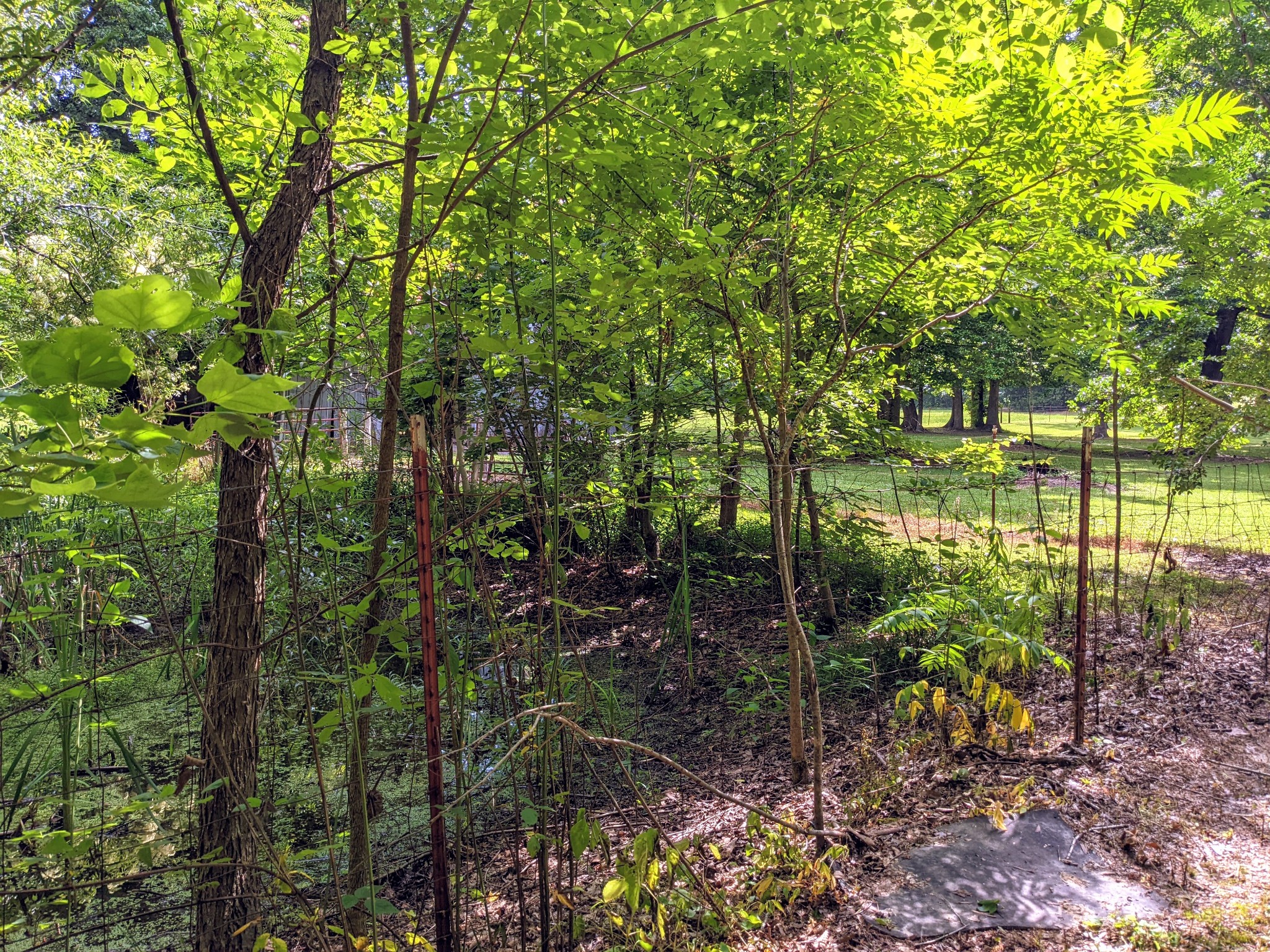 1843 Sainville Road Manchester, TN 37355 - Photo 19 of 32 a view of lake view
