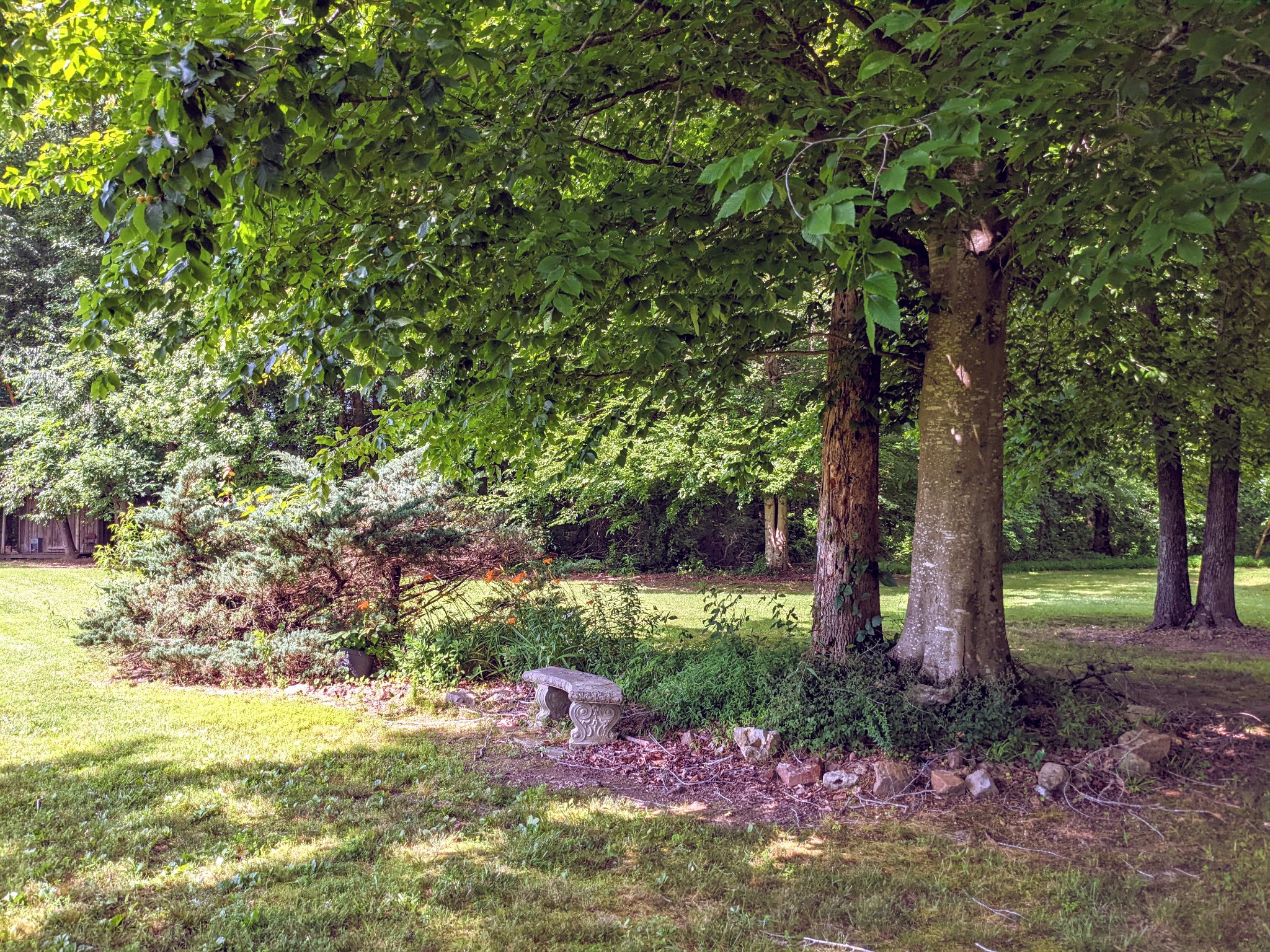 1843 Sainville Road Manchester, TN 37355 - Photo 20 of 32 a view of a tree in the middle of a yard