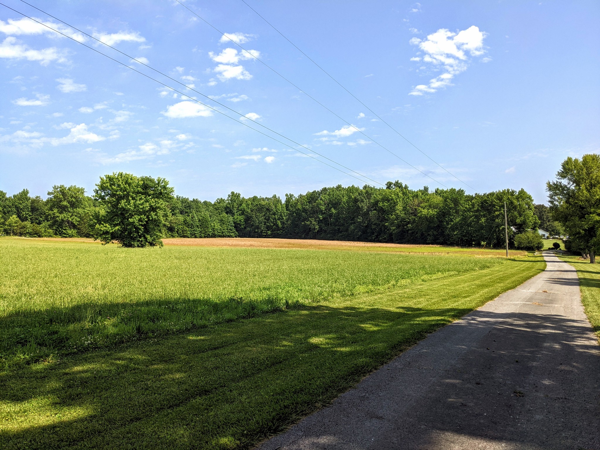 1843 Sainville Road Manchester, TN 37355 - Photo 3 of 32 a view of a golf course with a lake