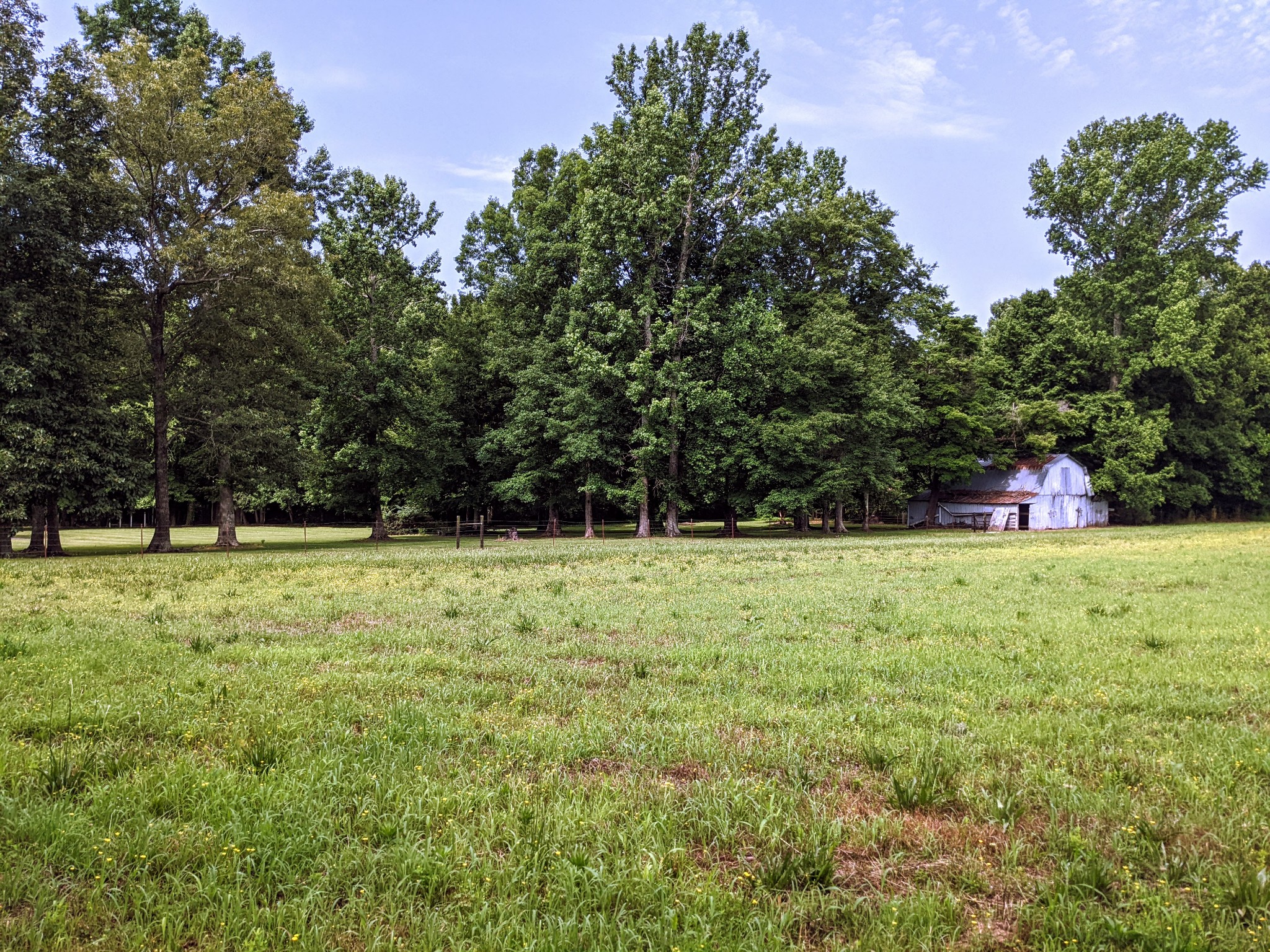 1843 Sainville Road Manchester, TN 37355 - Photo 9 of 32 a view of a field with trees