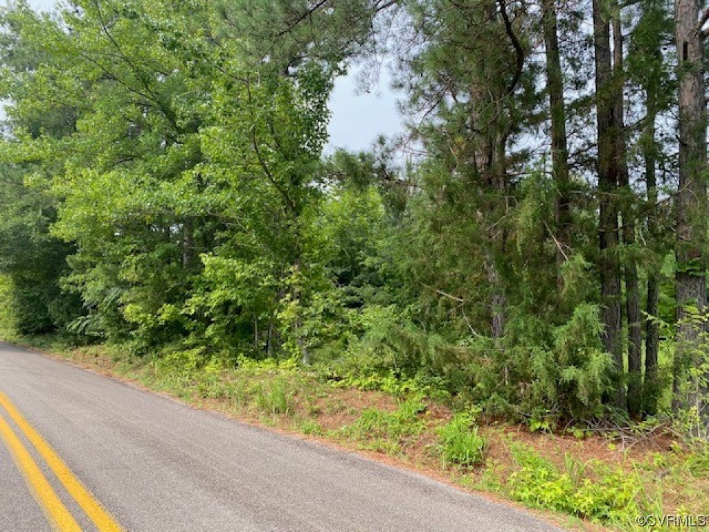 Tbd Baltimore Road Ford, VA 23850 - Photo 3 of 8