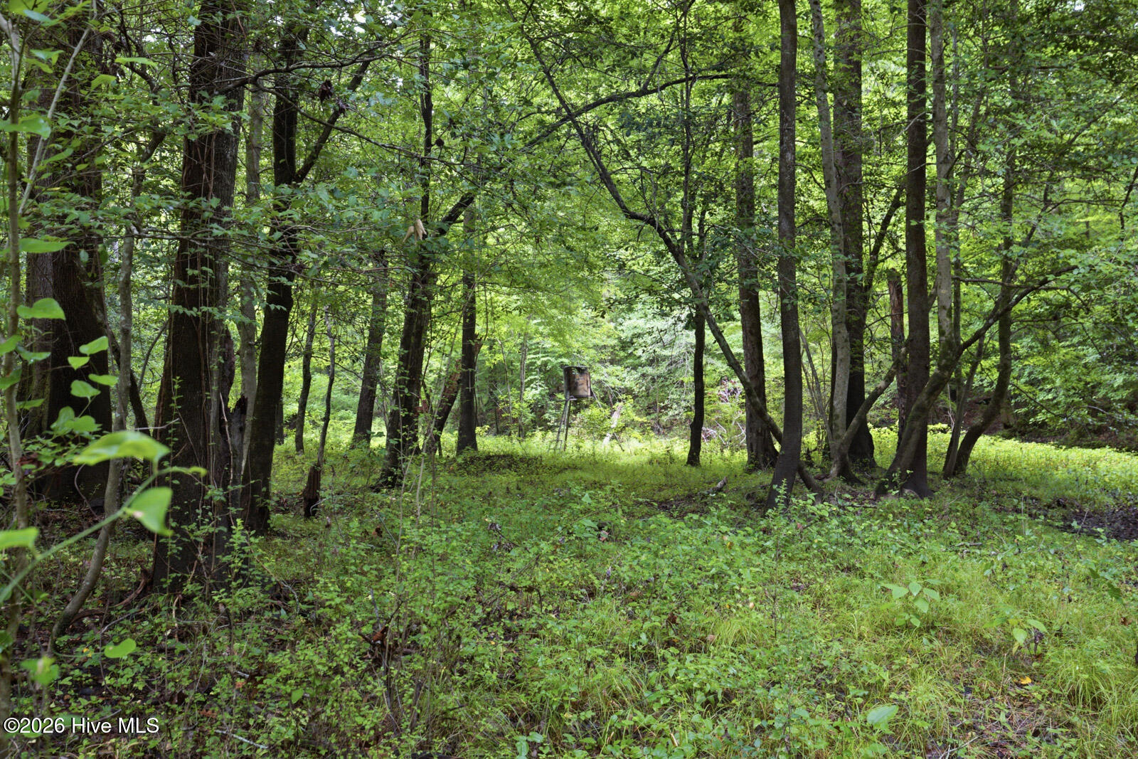 857 Mill River Road Jacksonville, NC 28540 - Photo 15 of 30