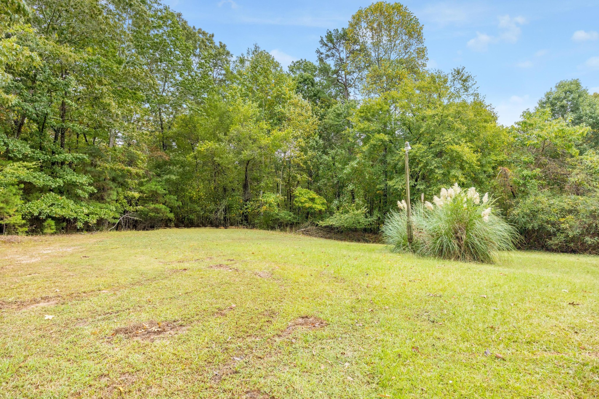 339 Oak Tree Road Ringgold, GA 30736 - Photo 23 of 31 a view of a yard with an trees