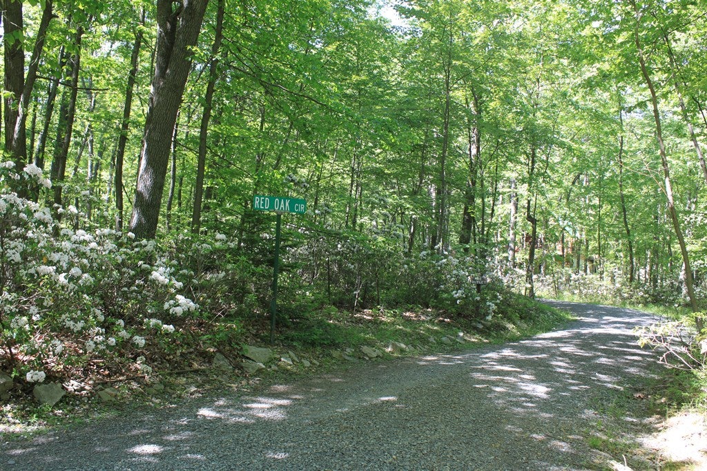 14636 Red Maple Circle Huntingdon, PA 16652 - Photo 21 of 25 Gallery Image 21