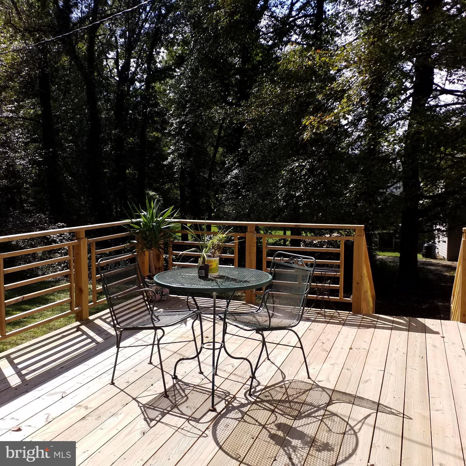 111 Margate Road Lutherville-Timonium, MD 21093 - Photo 18 of 19 Newly Built Deck!